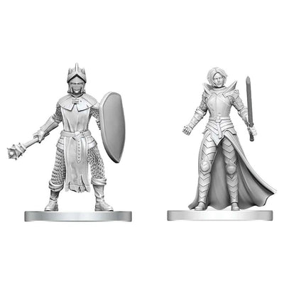 D&D Nolzur's Marvelous Miniatures: Black Gauntlet & Zhentilar Paladin of Bane