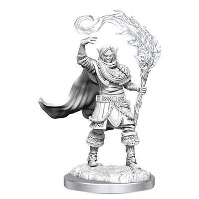 D&D Nolzurs Marvelous Unpainted Miniatures Elf Cleric Male