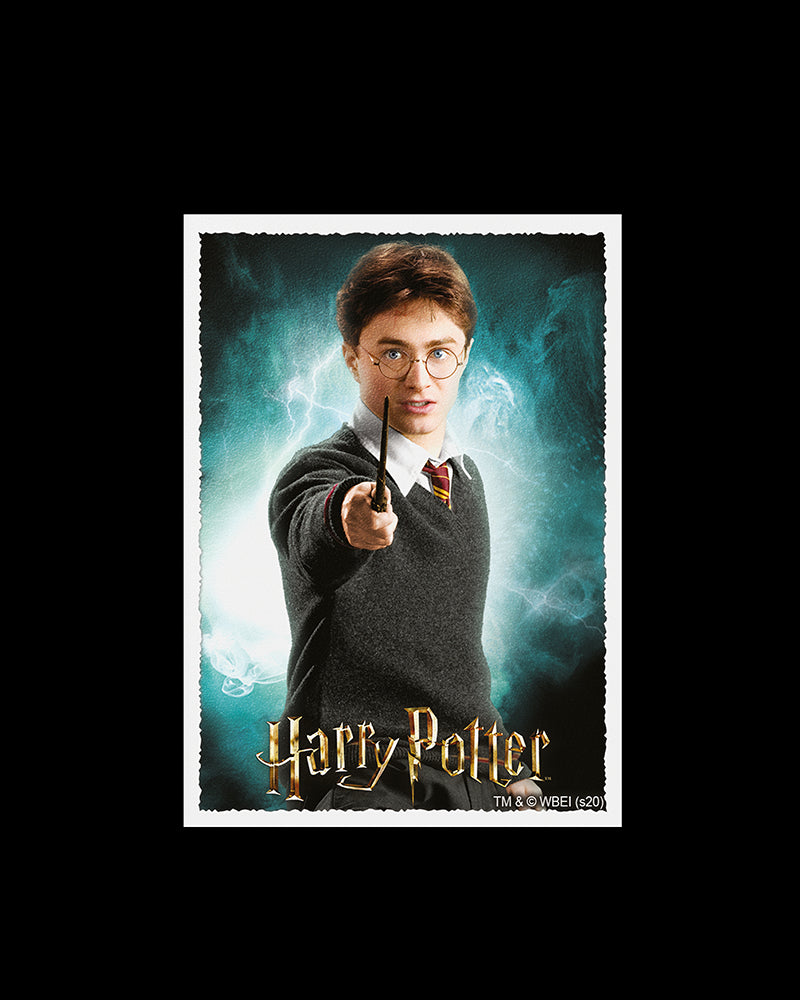 Dragon Shield: Sleeves – Matte Art – WizardingWorld: Harry Potter