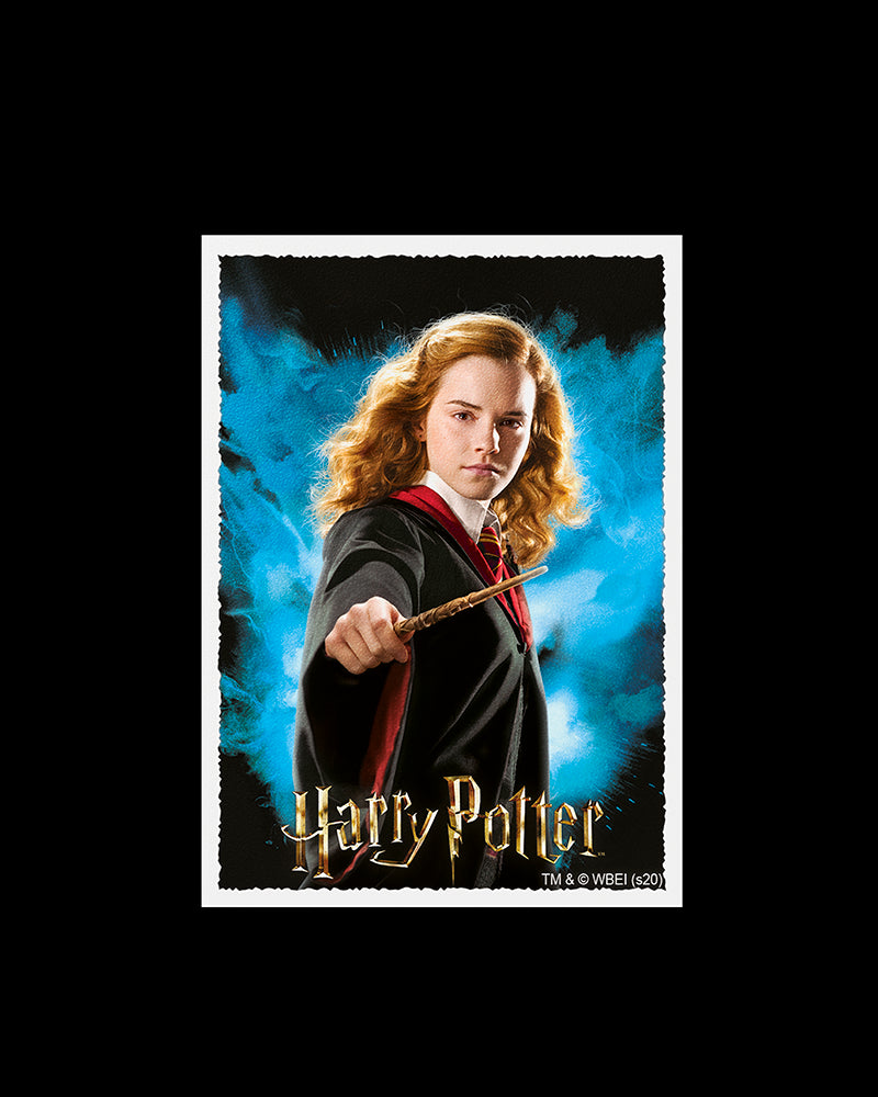 Dragon Shield: Sleeves – Matte Art – WizardingWorld: Hermoine Granger