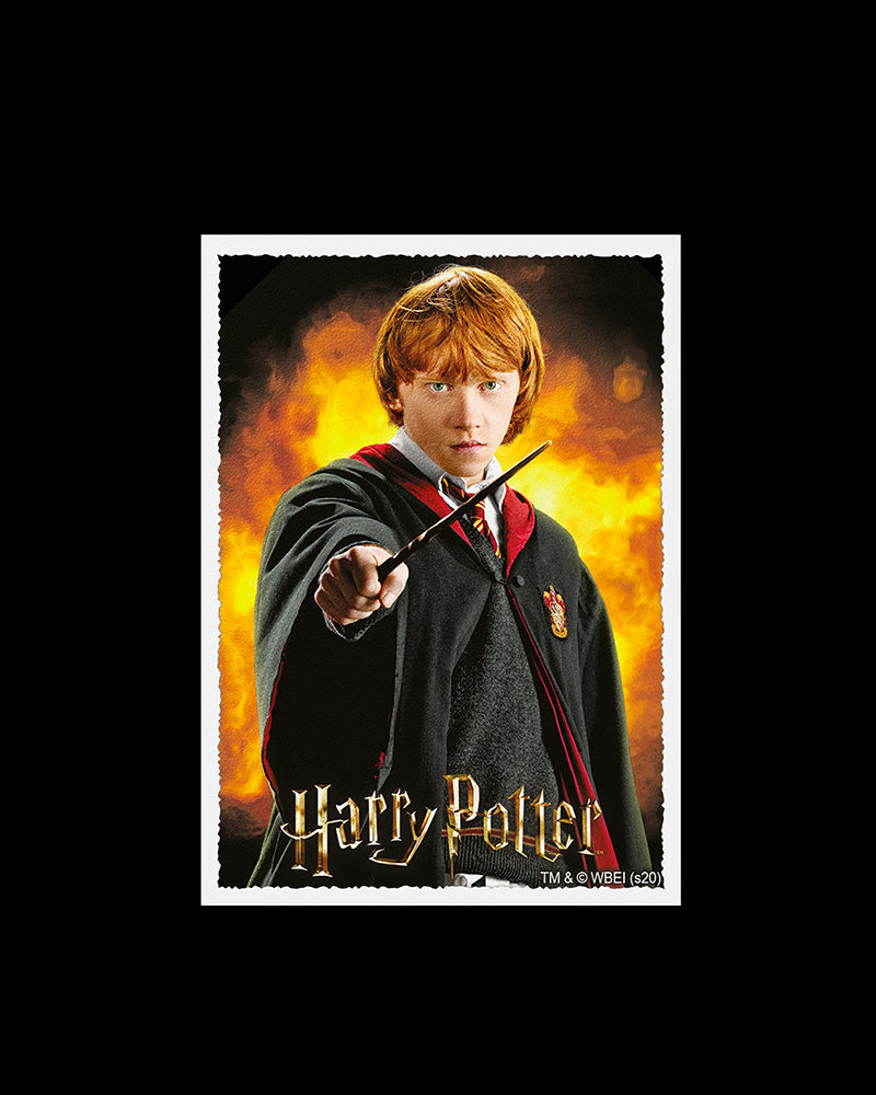 Dragon Shield: Sleeves – Matte Art – WizardingWorld: Ron Weasley