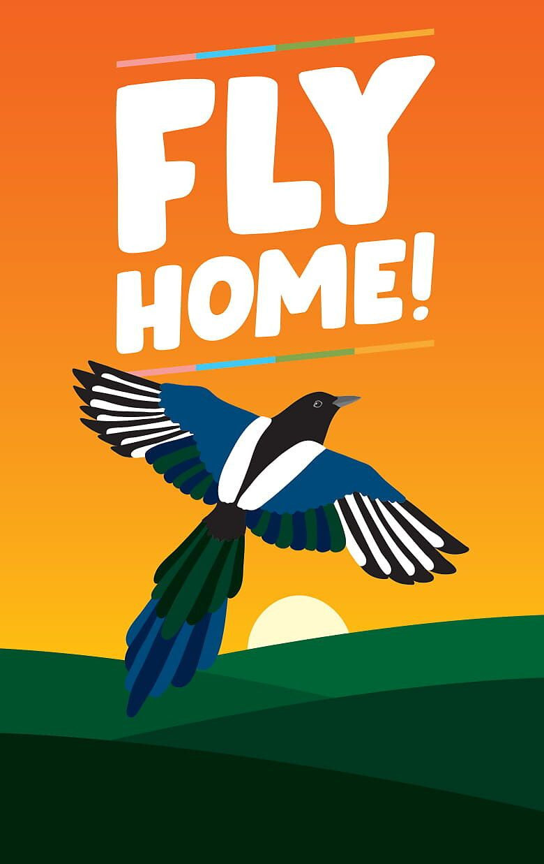 Fly Home