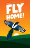 Fly Home